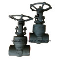 1500lb Forged Steel Pressure Seal Thread End NPT Gate Valve